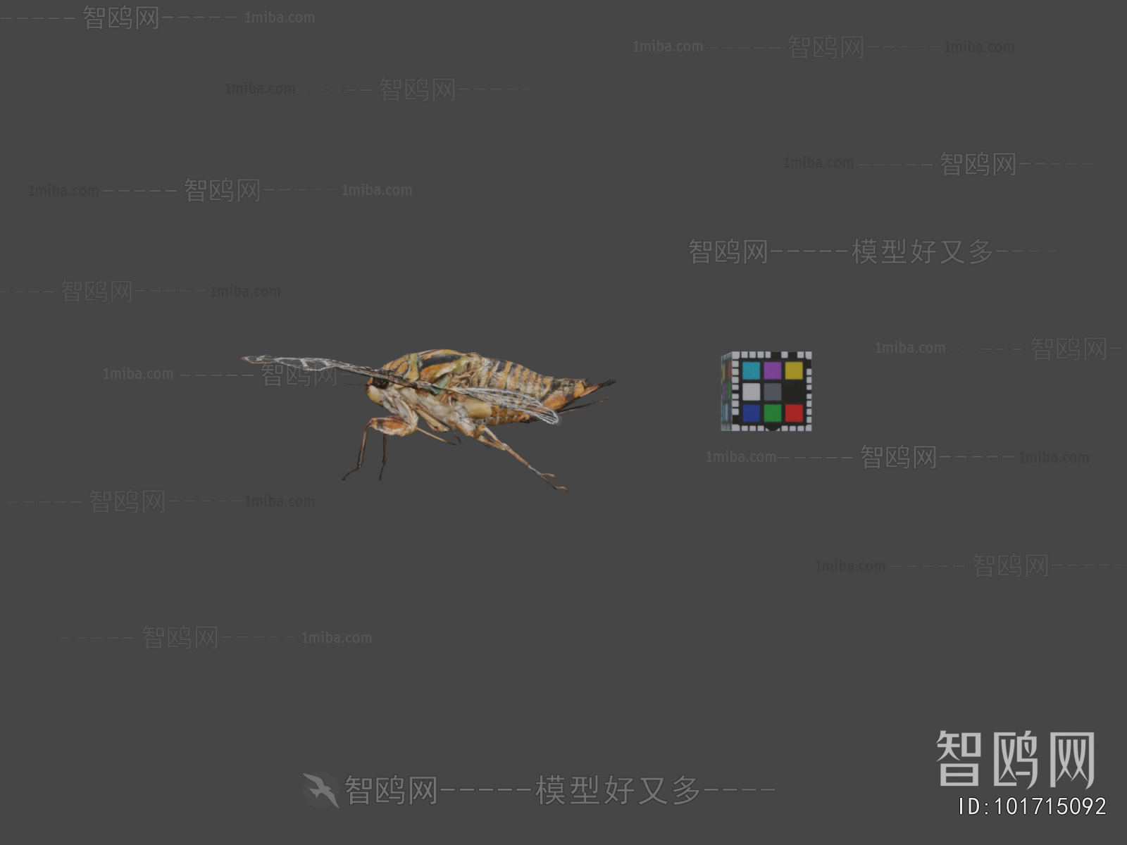 Modern Animal