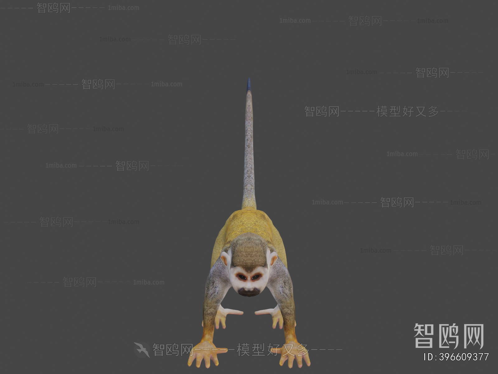 Modern Animal