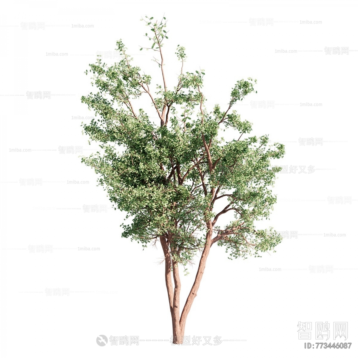 Modern Tree