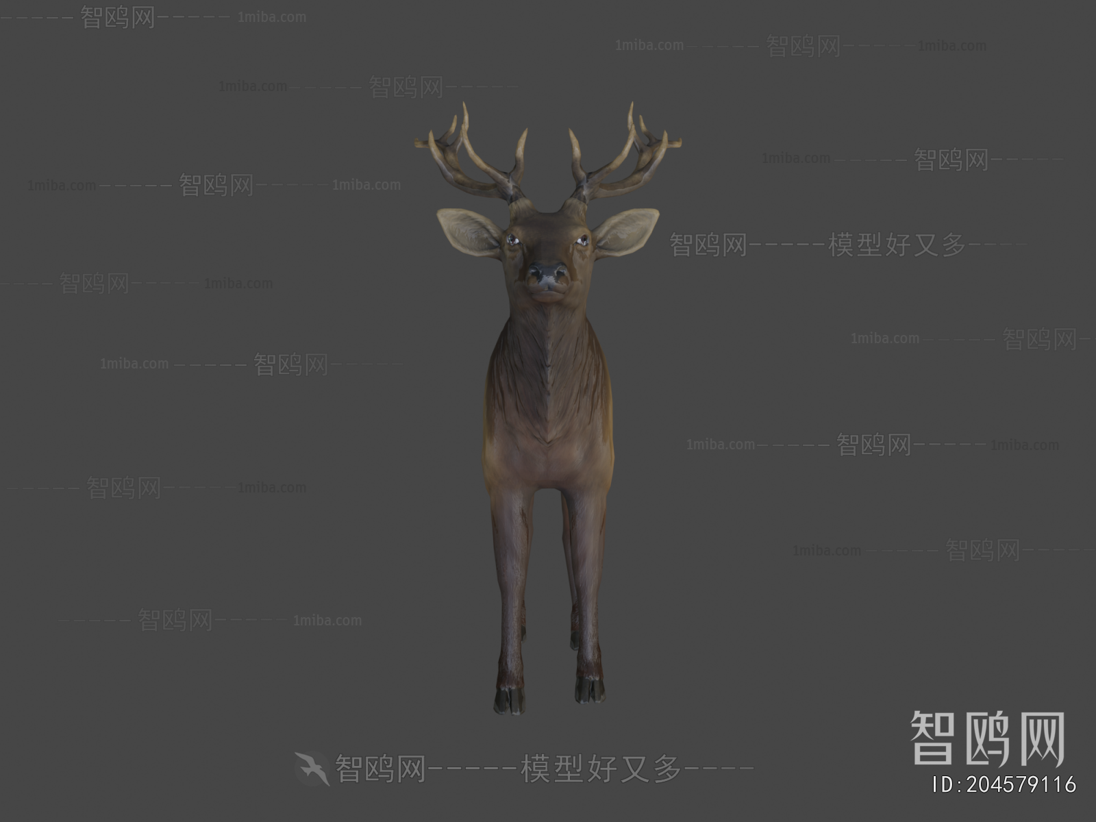 Modern Animal