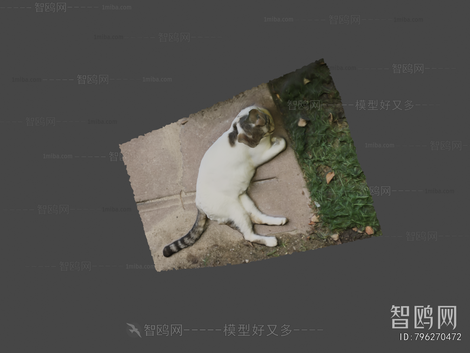 Modern Animal Cat