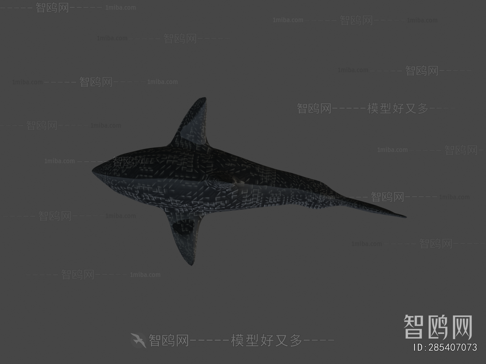 Modern Aquatic Animals