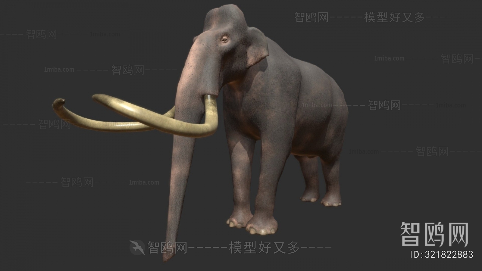 Modern Animal
