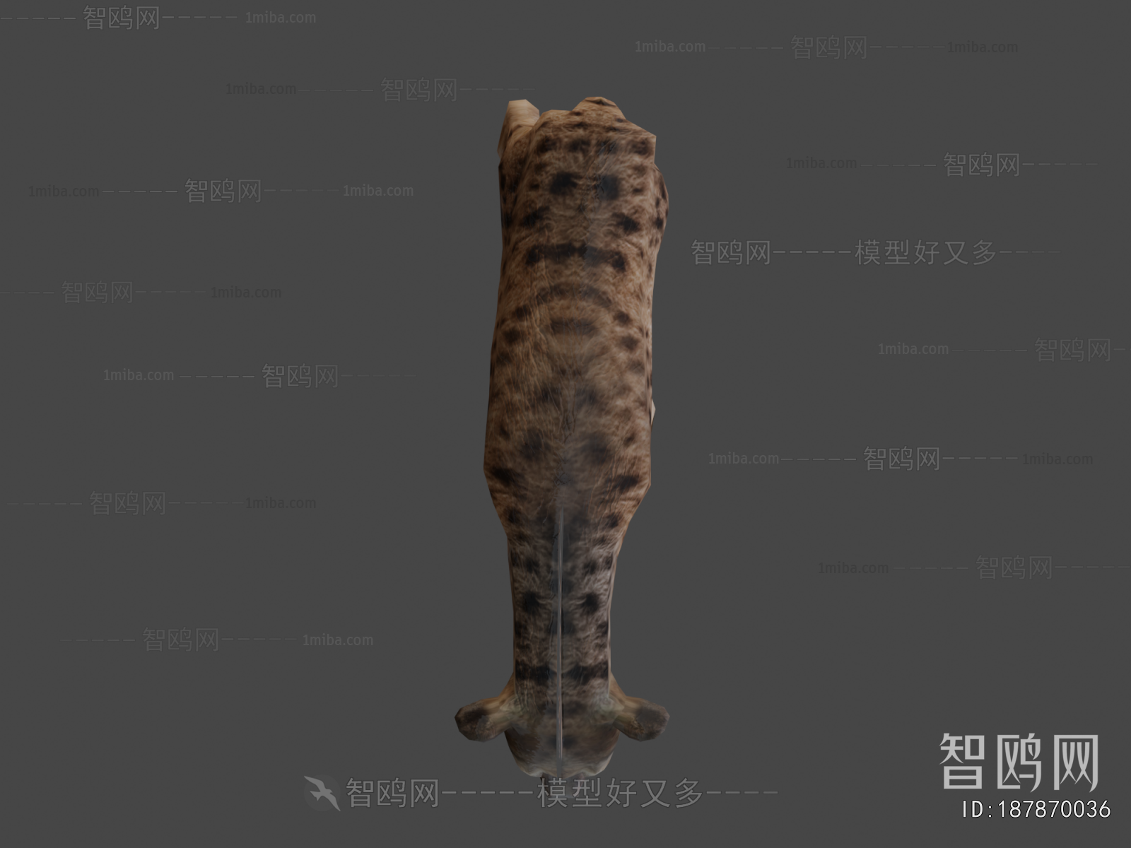 Modern Animal