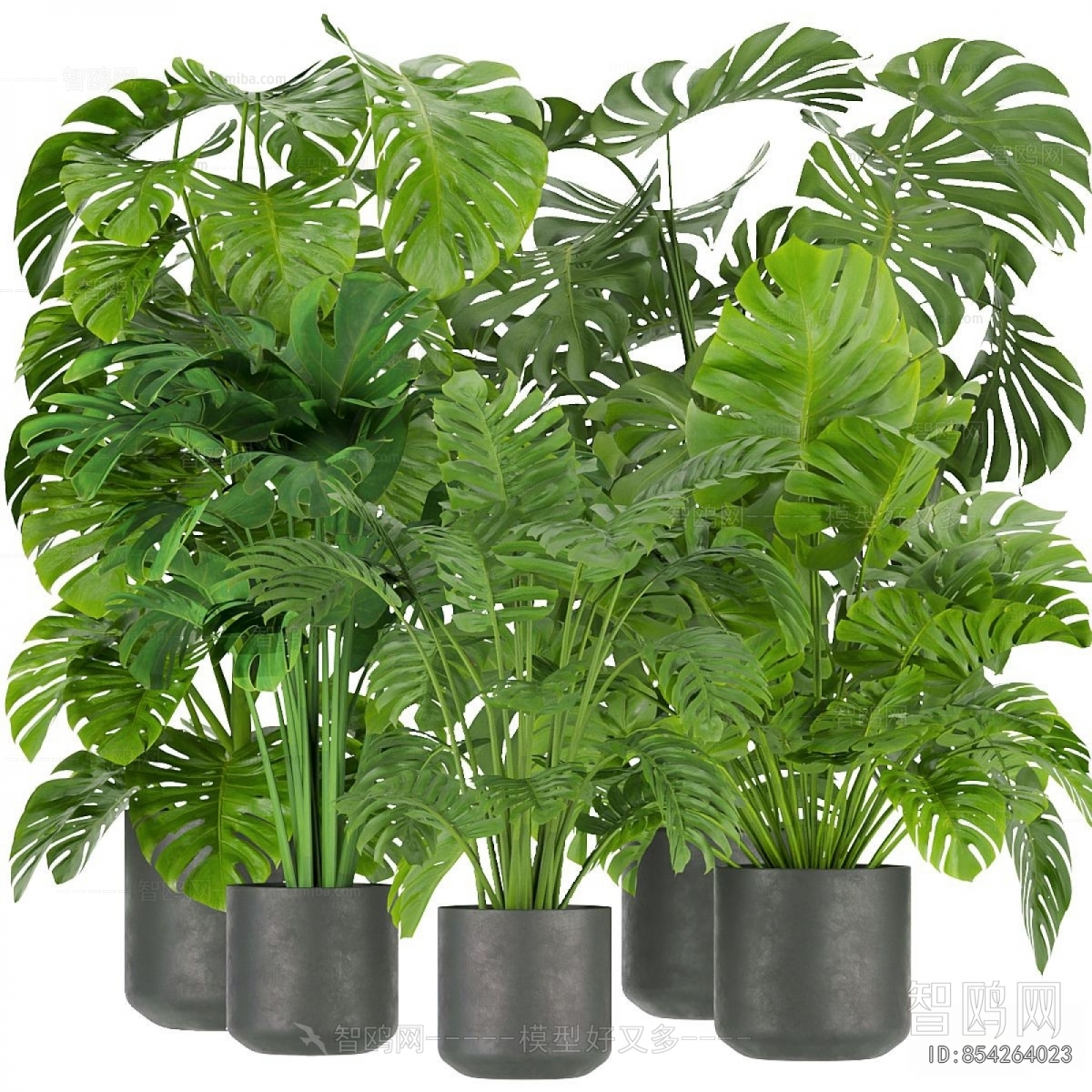 Modern Ground Green Plant Potted Plants
