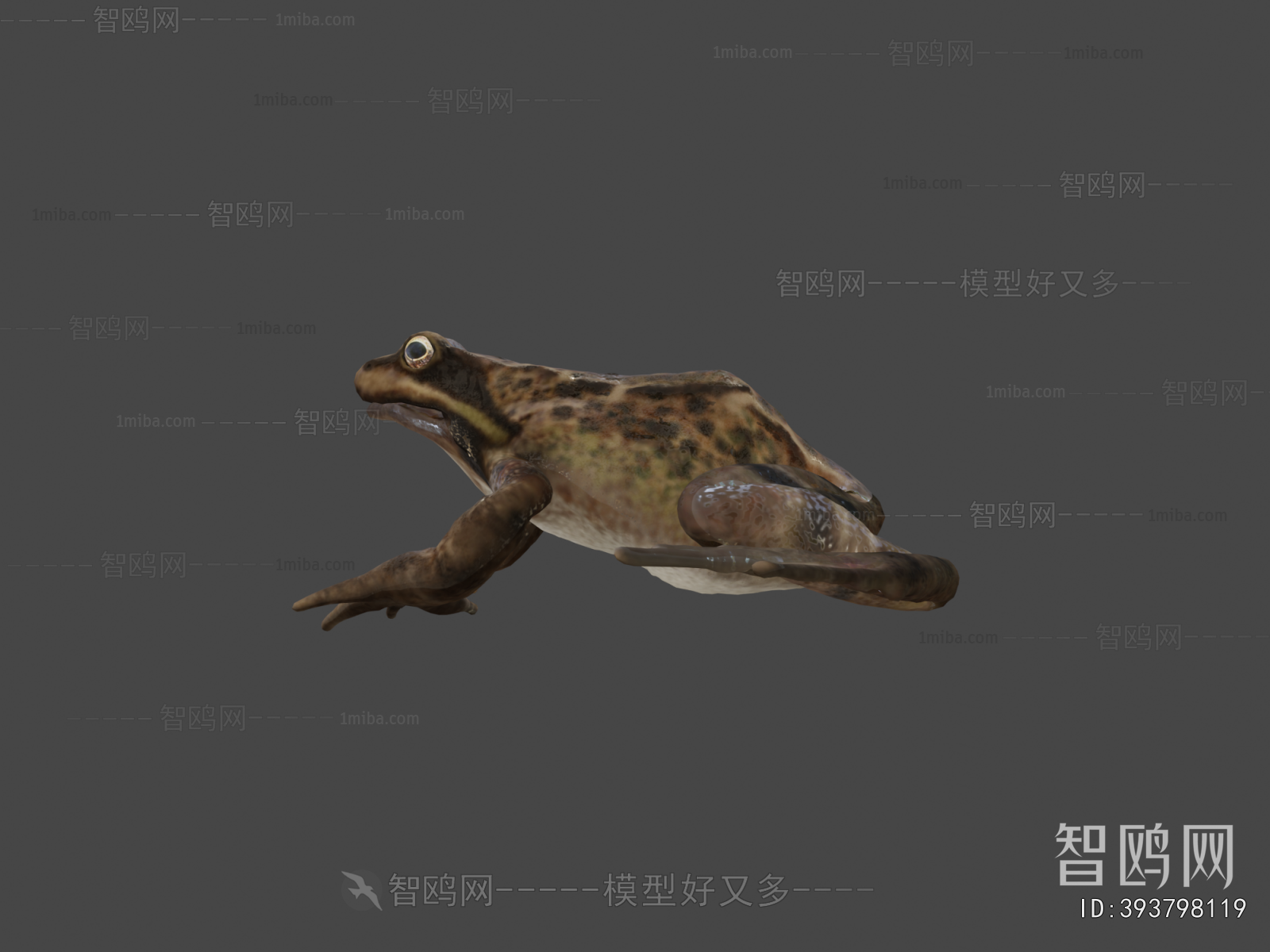 Modern Animal