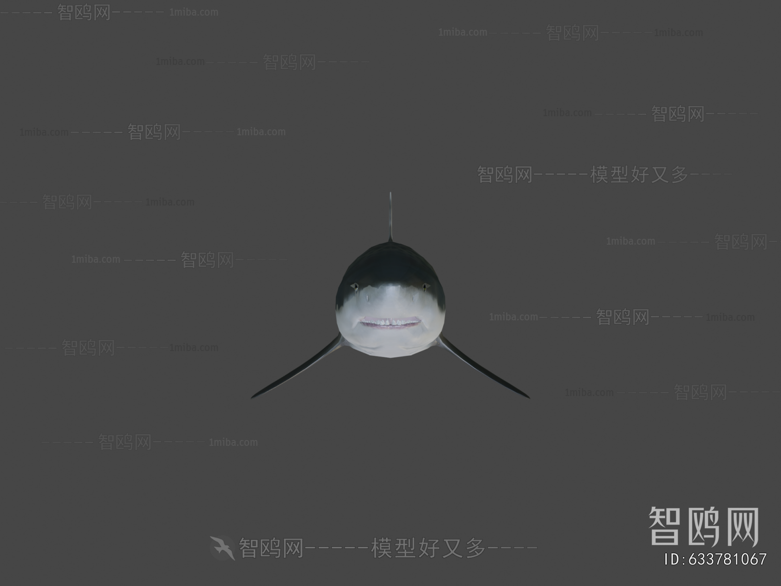 Modern Aquatic Animals