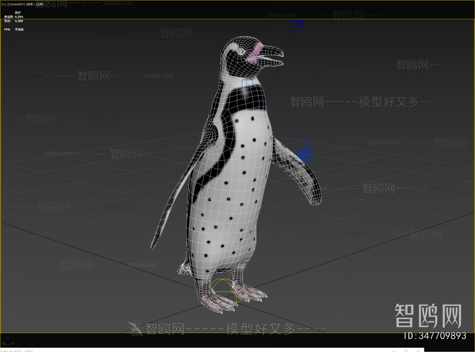 Modern Mammal
