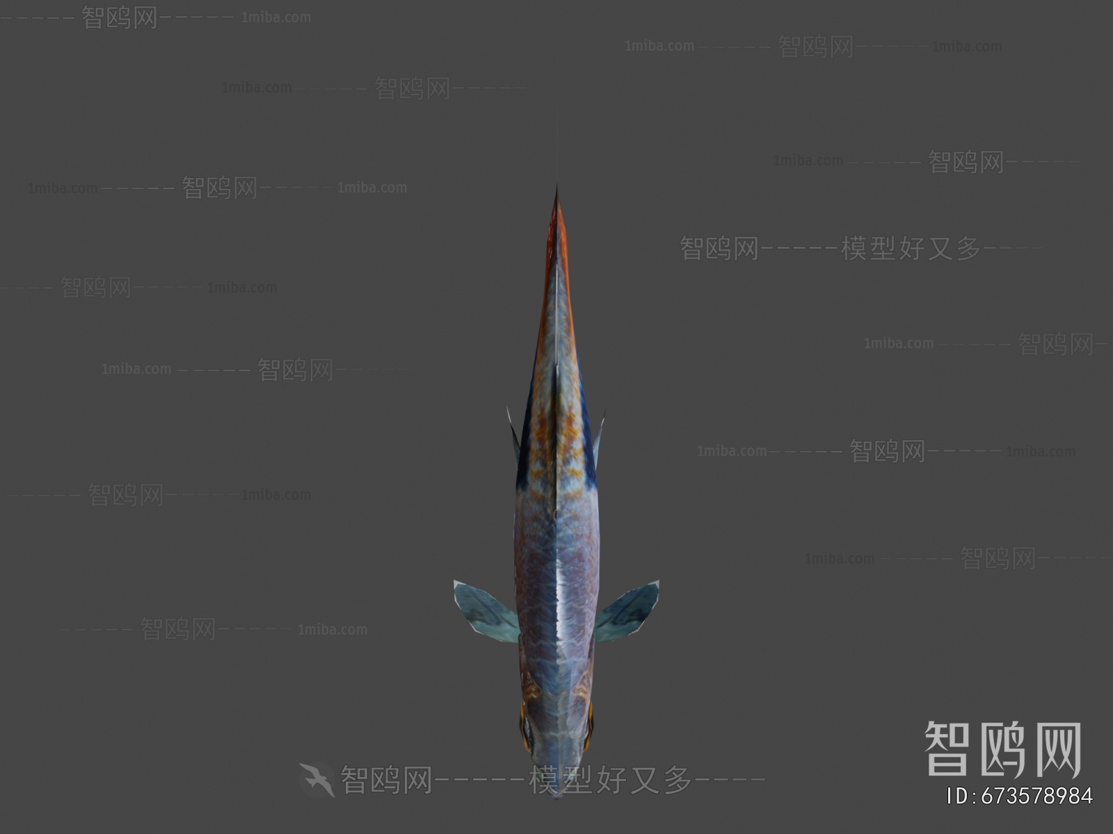 Modern Aquatic Animals