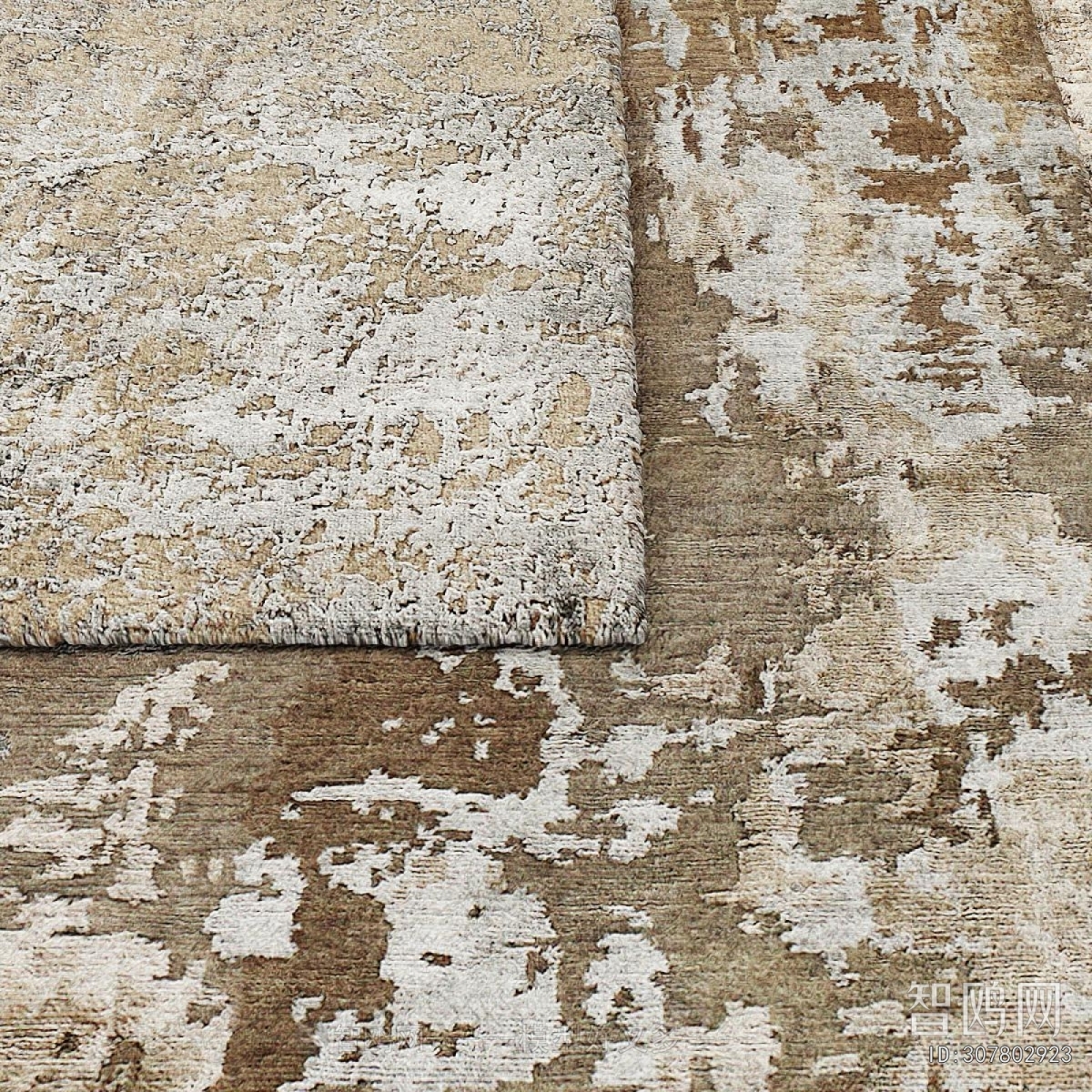 Modern The Carpet