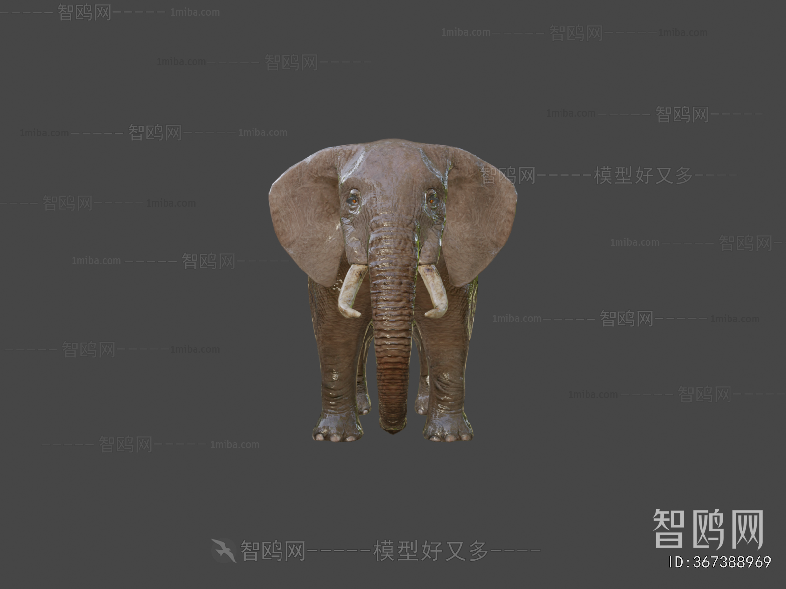 Modern Other Animals