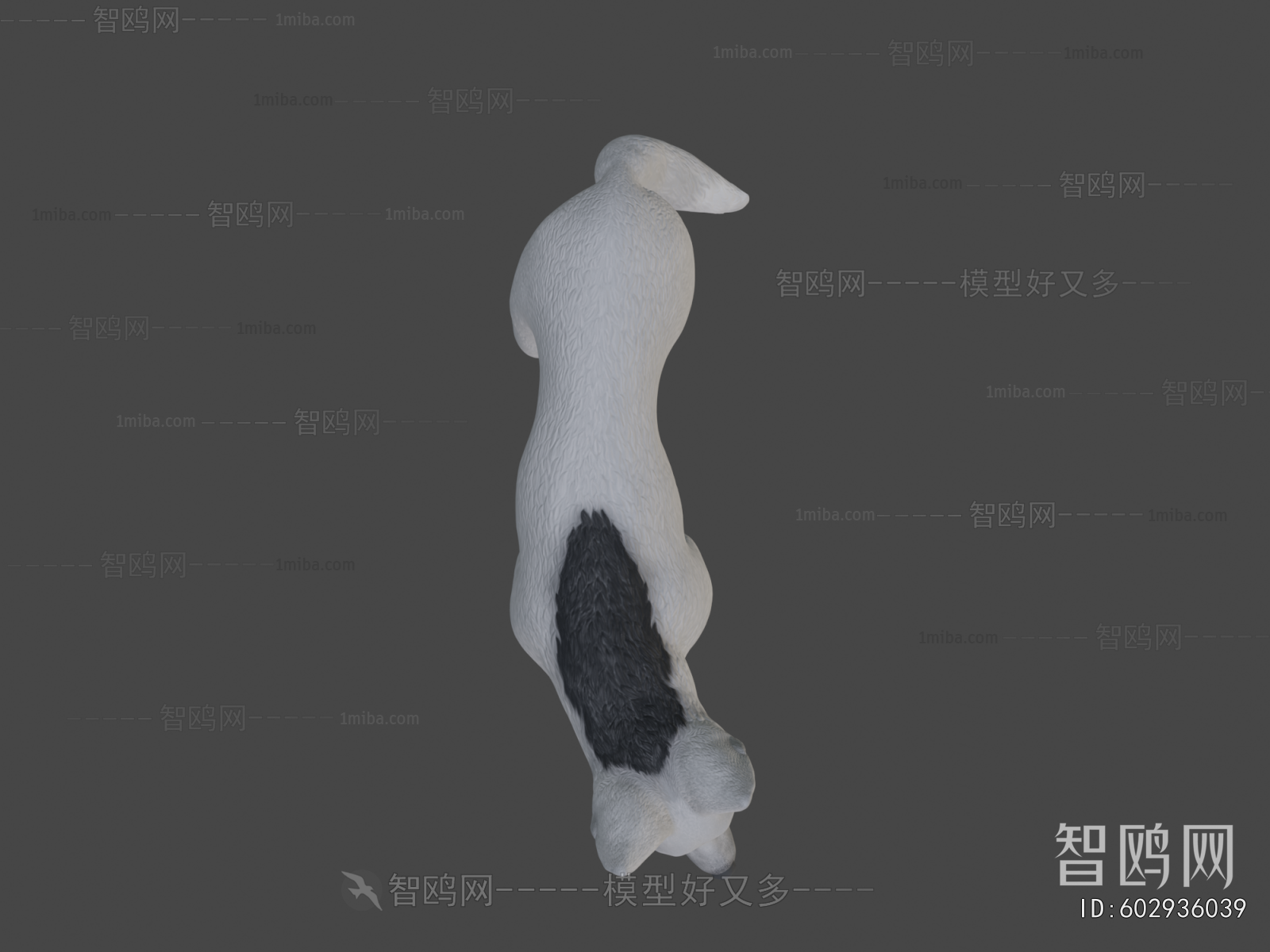 Modern Animal