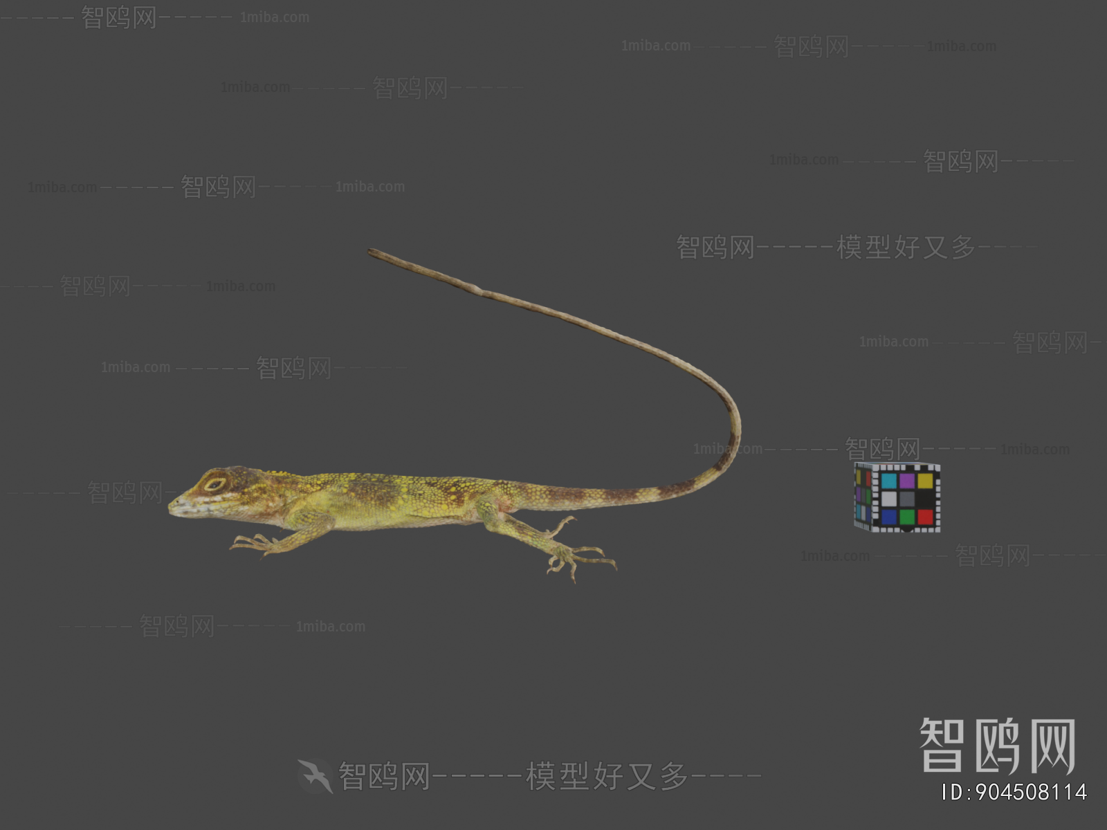 Modern Animal