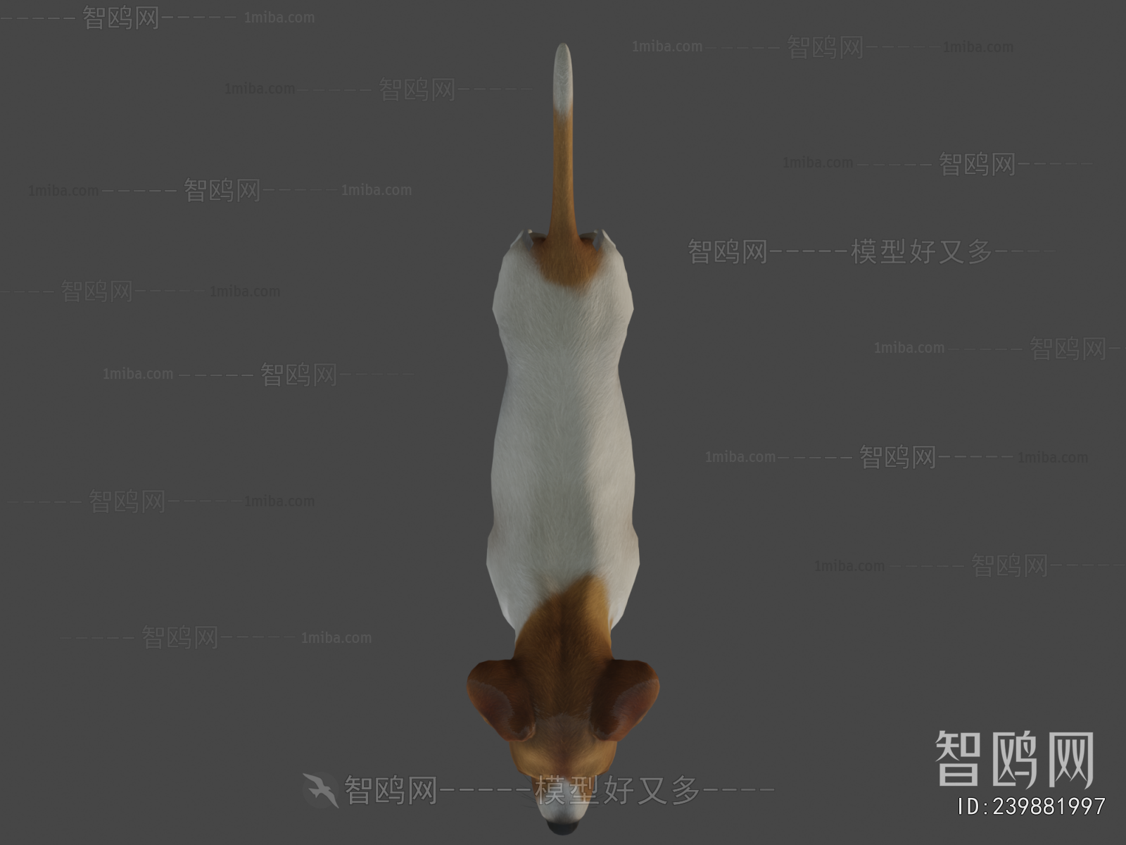 Modern Animal