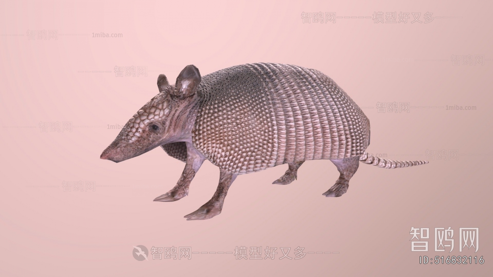 Modern Reptile