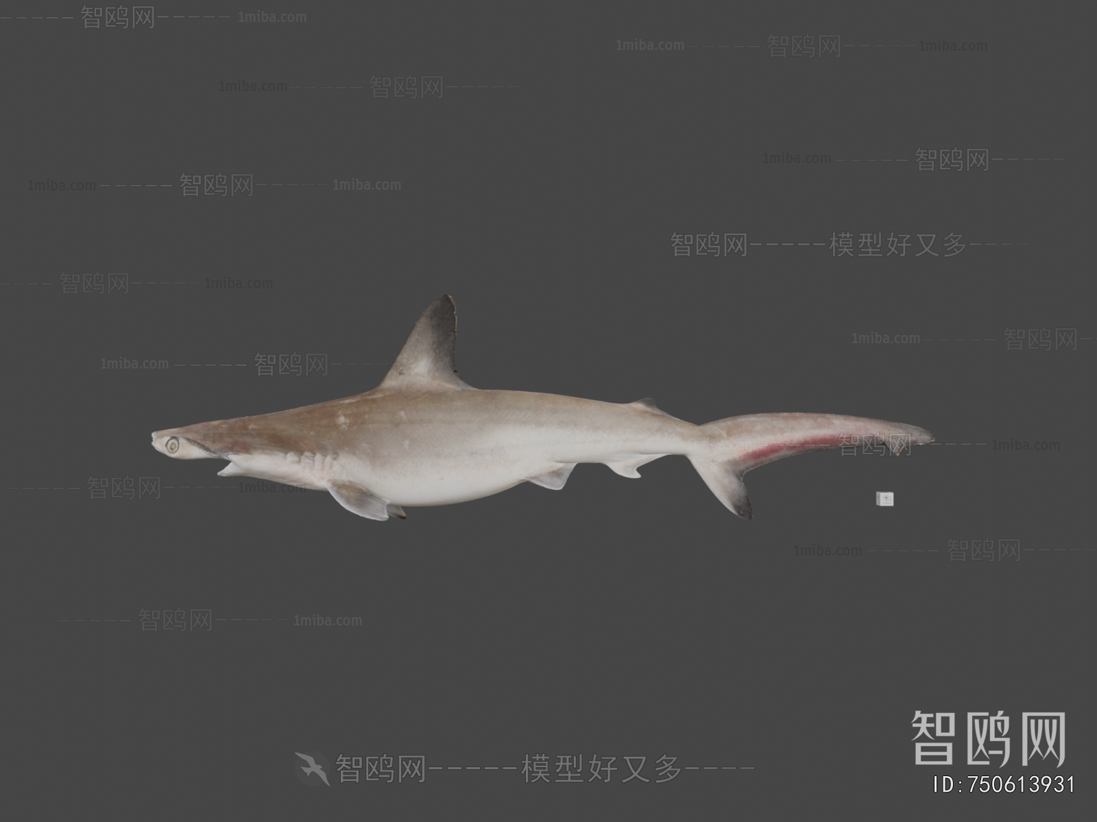 Modern Animal