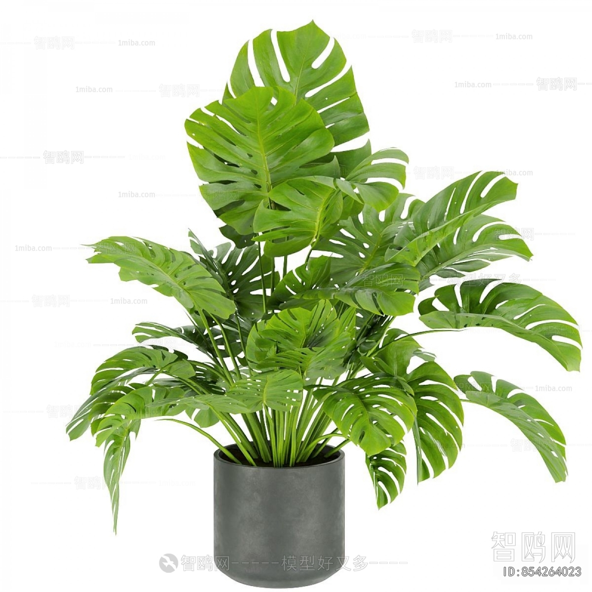 Modern Ground Green Plant Potted Plants