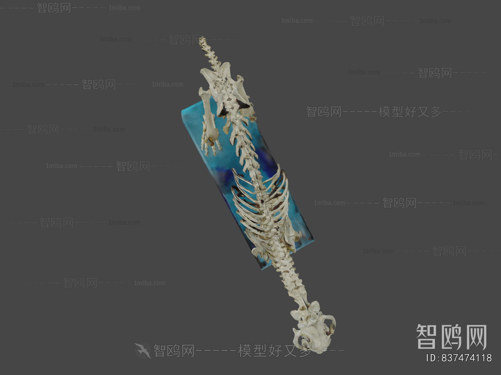 Modern Medical Equipment