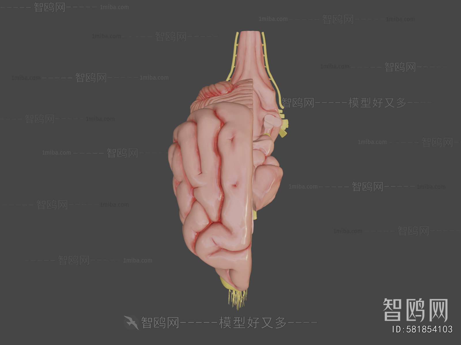 Modern Medical Equipment