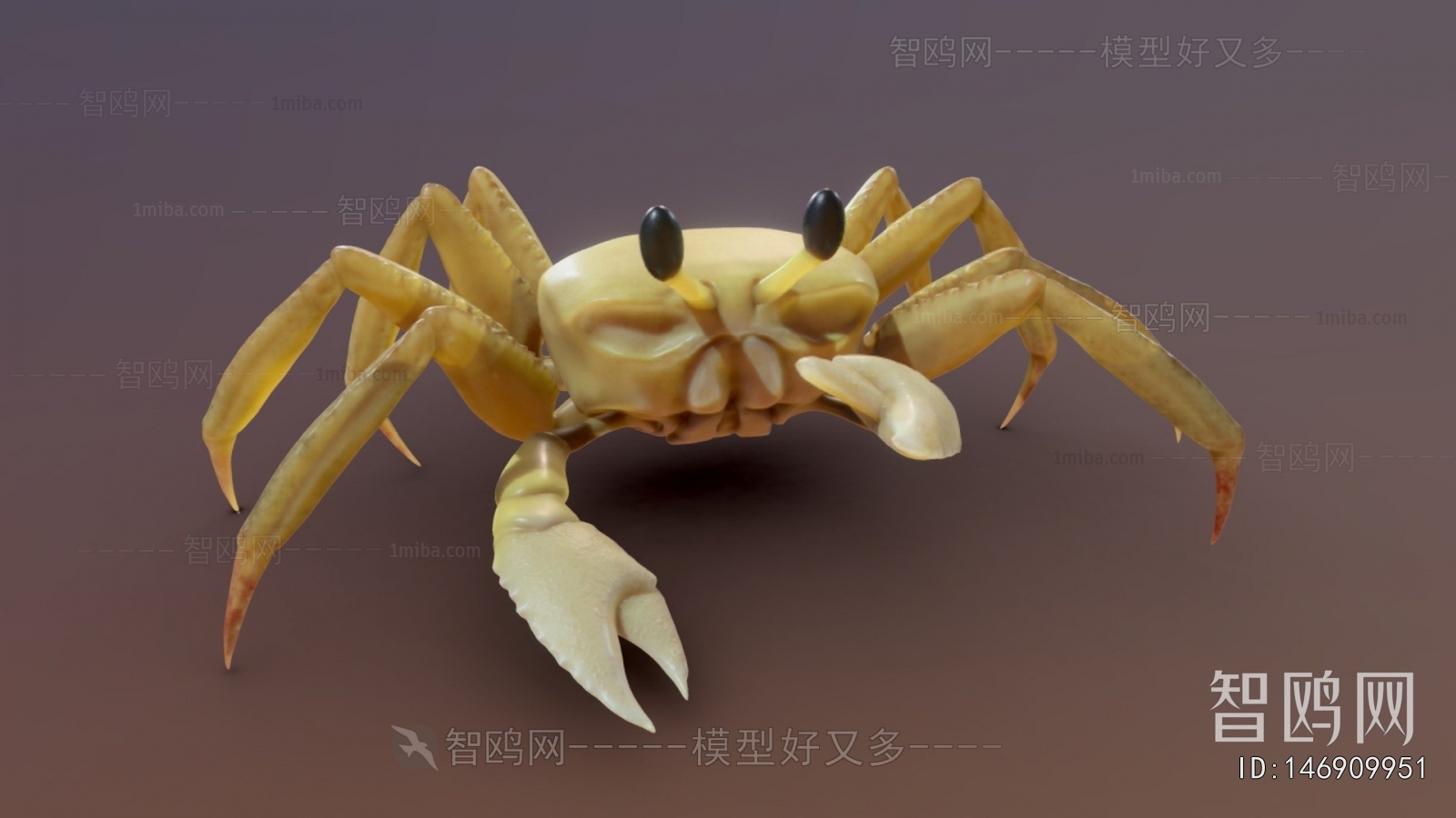 Modern Aquatic Animals