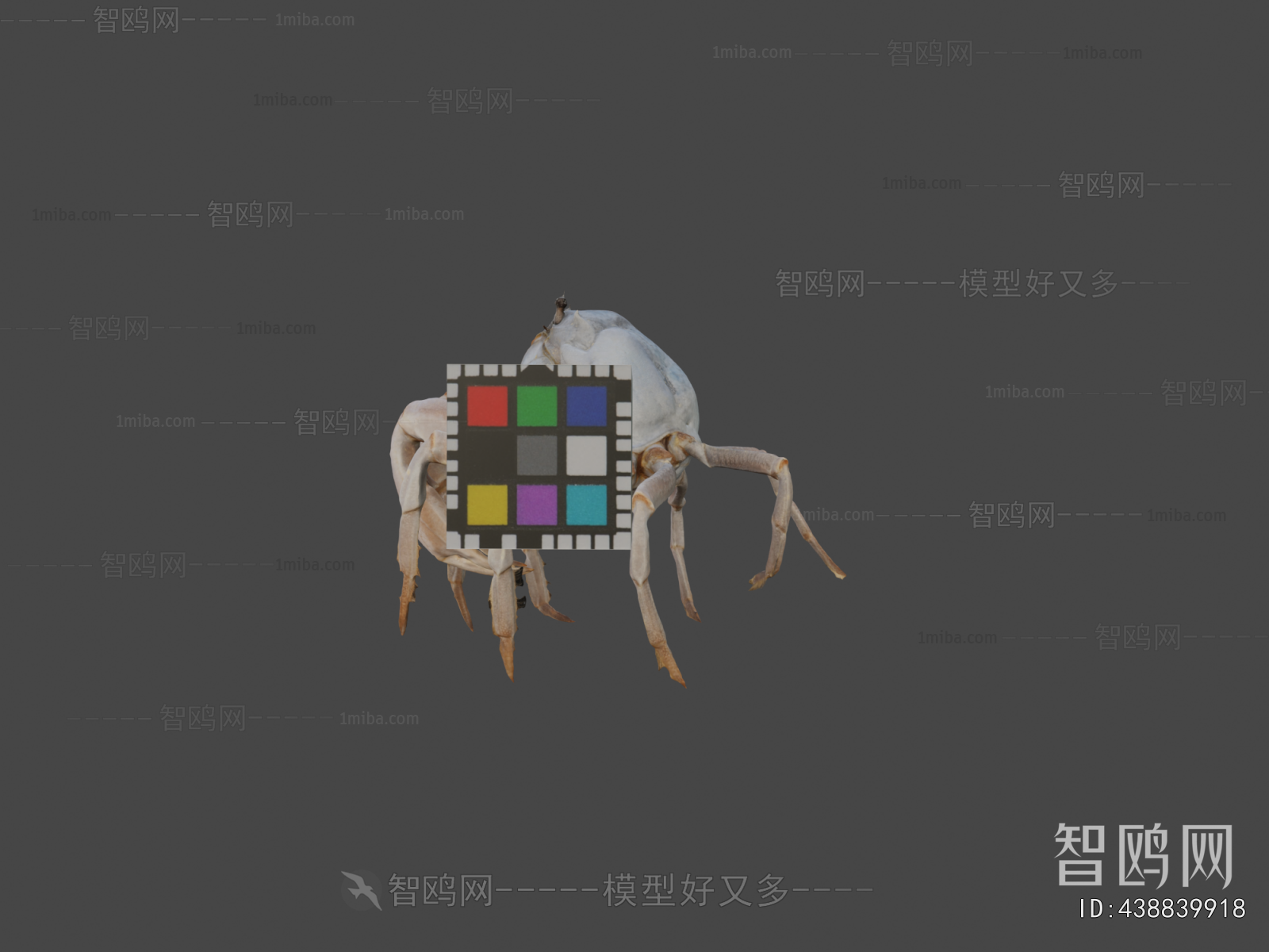 Modern Animal