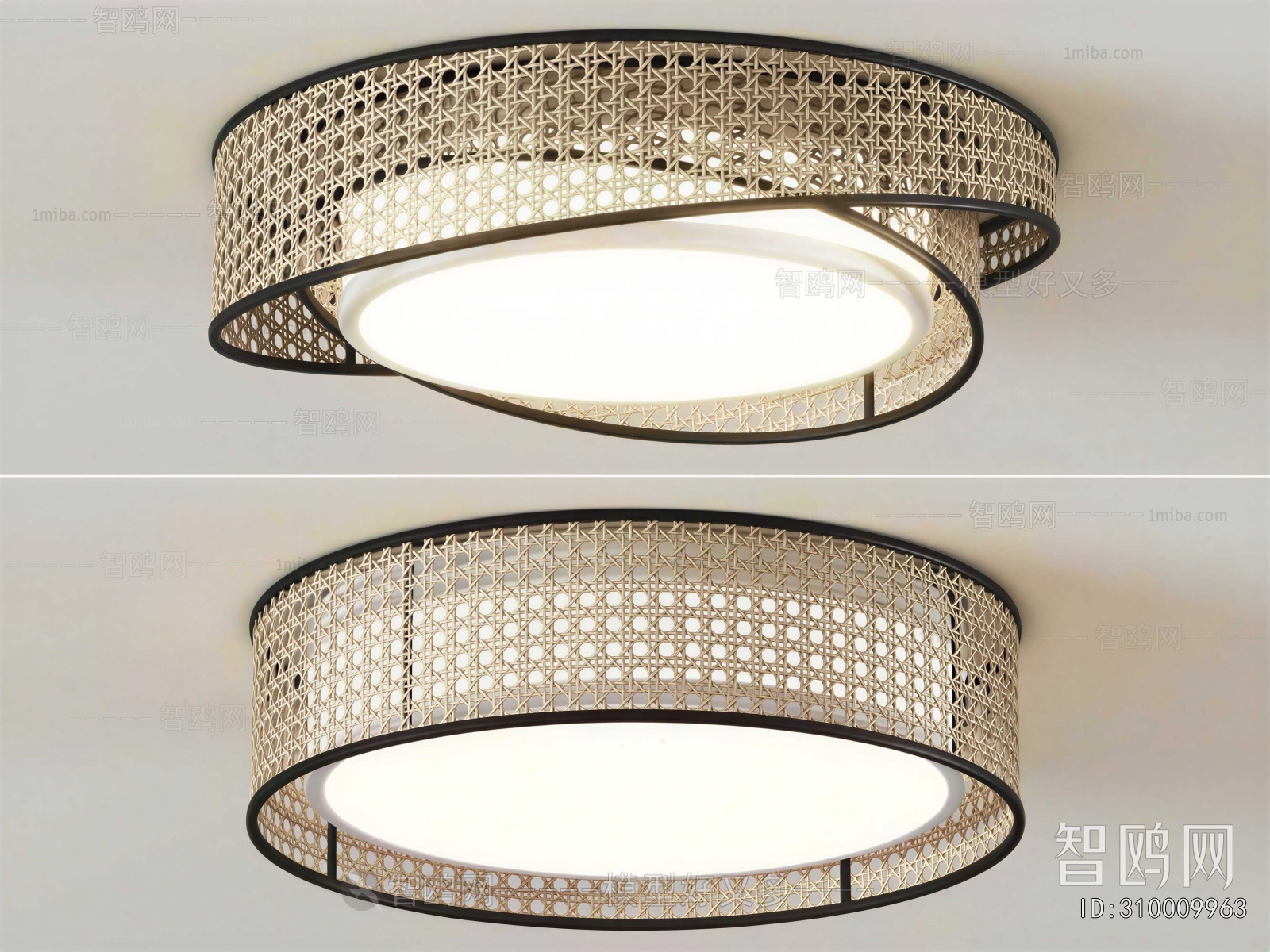 Modern Ceiling Ceiling Lamp