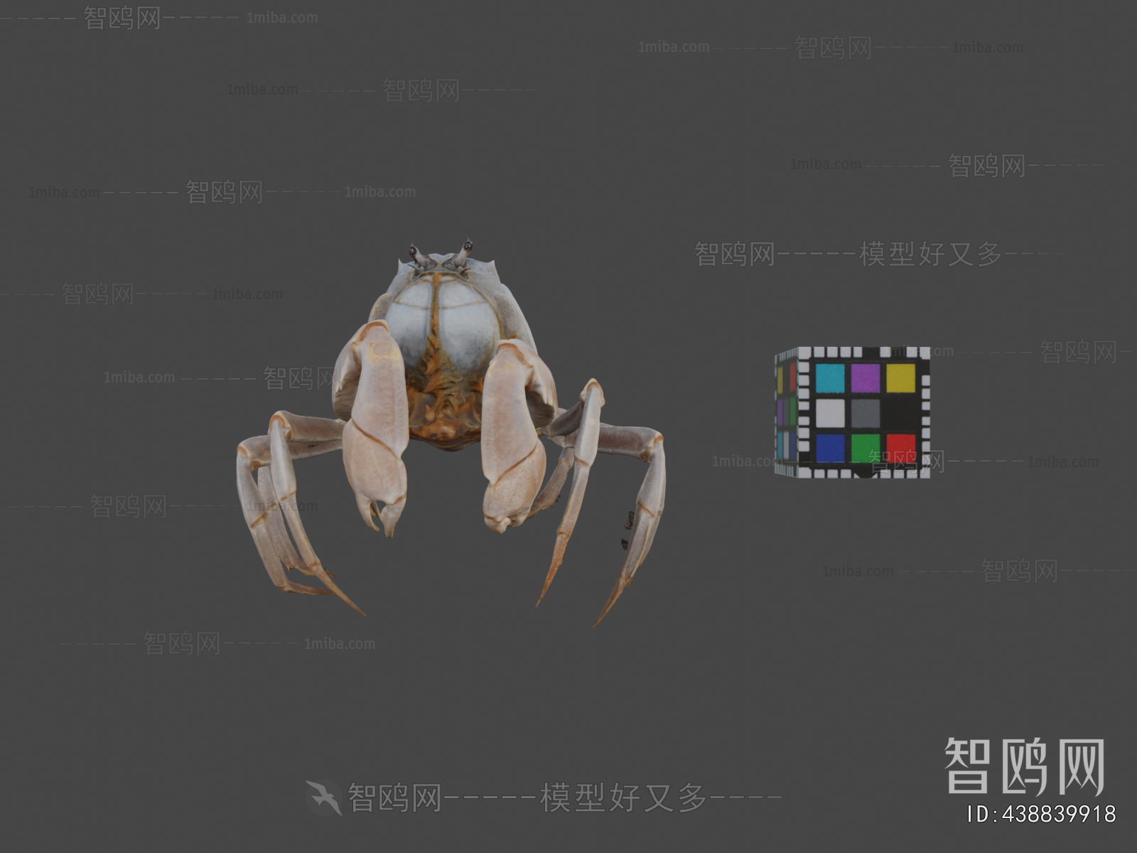 Modern Animal