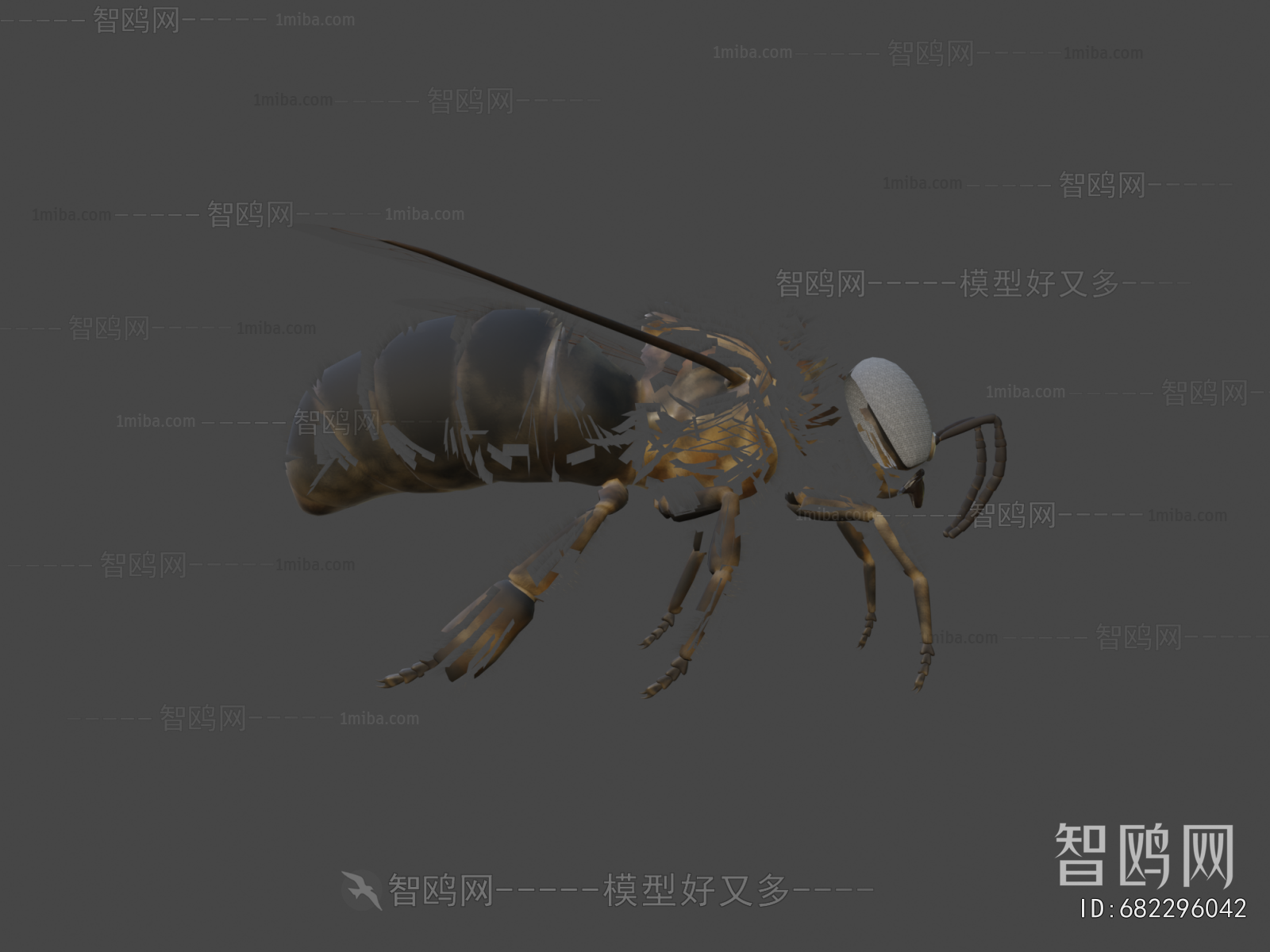 Modern Animal