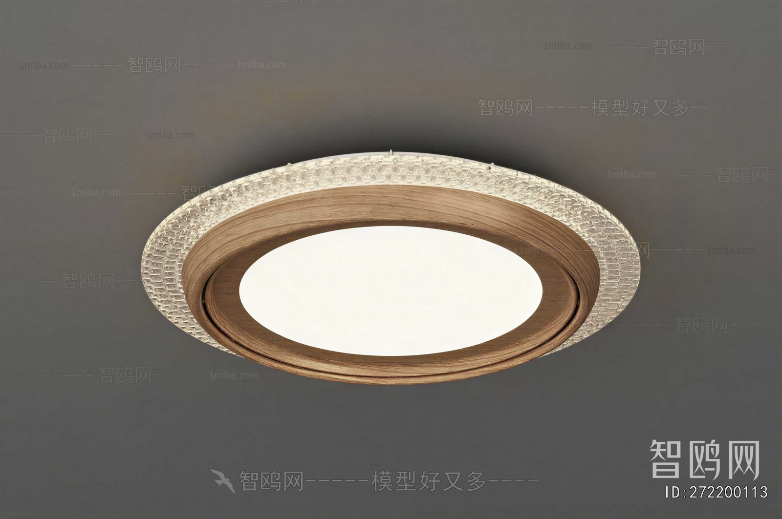 Modern Ceiling Ceiling Lamp