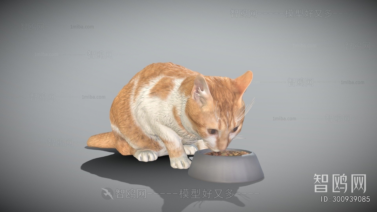 Modern Animal Cat