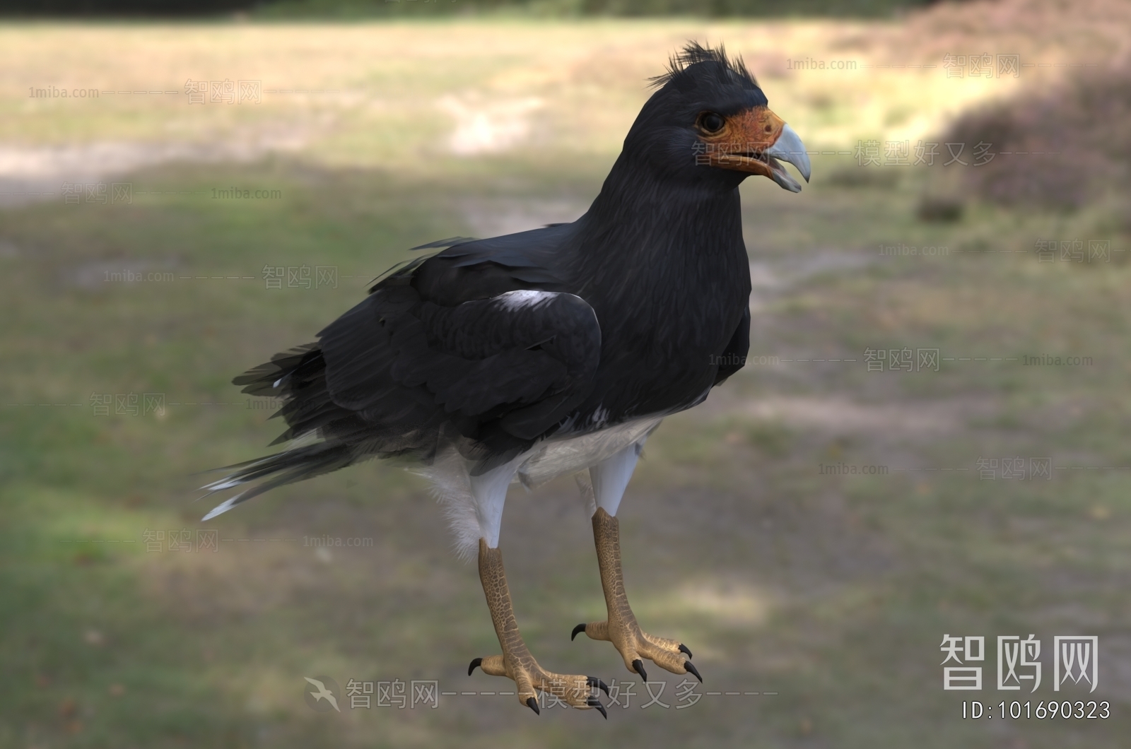 Modern Flying Animals