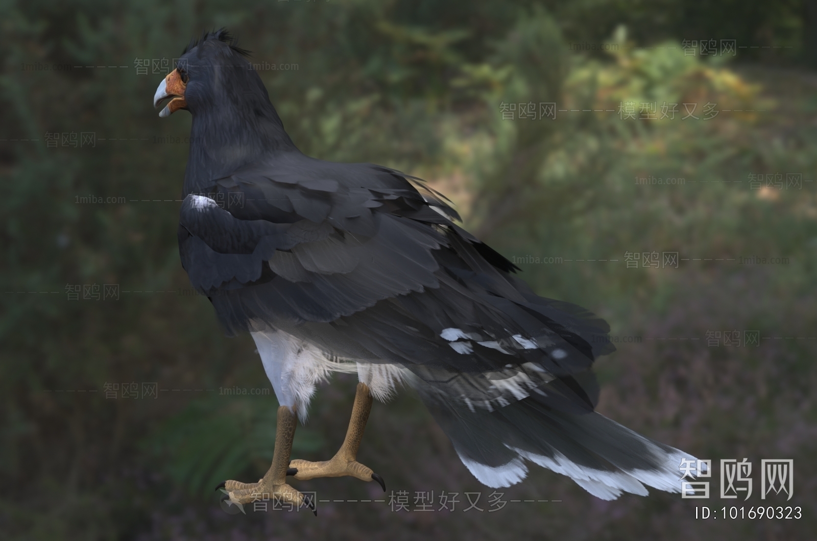 Modern Flying Animals