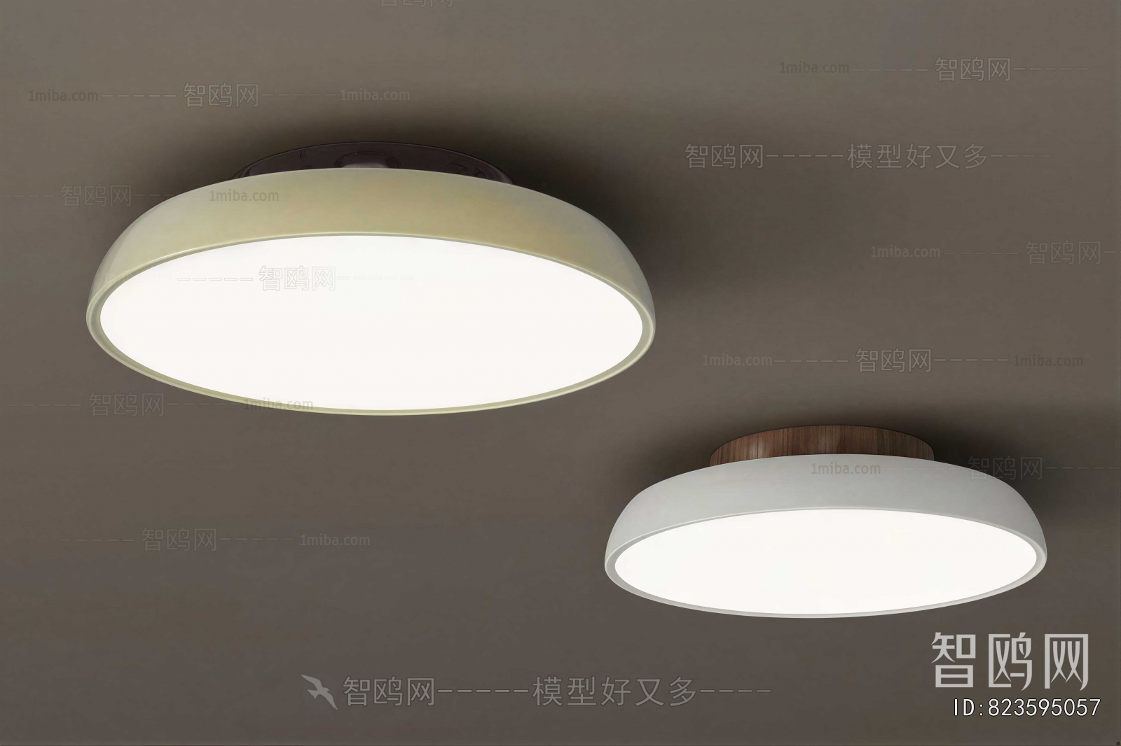 Modern Ceiling Ceiling Lamp