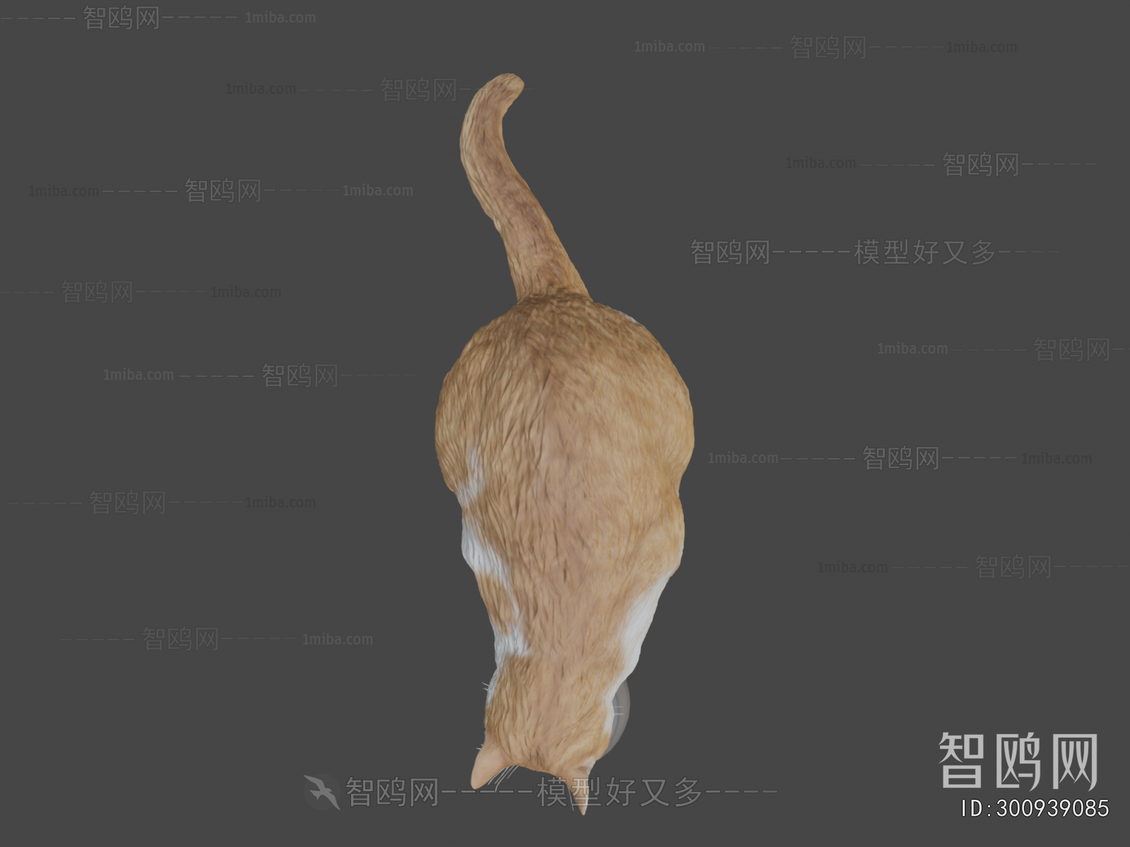 Modern Animal Cat