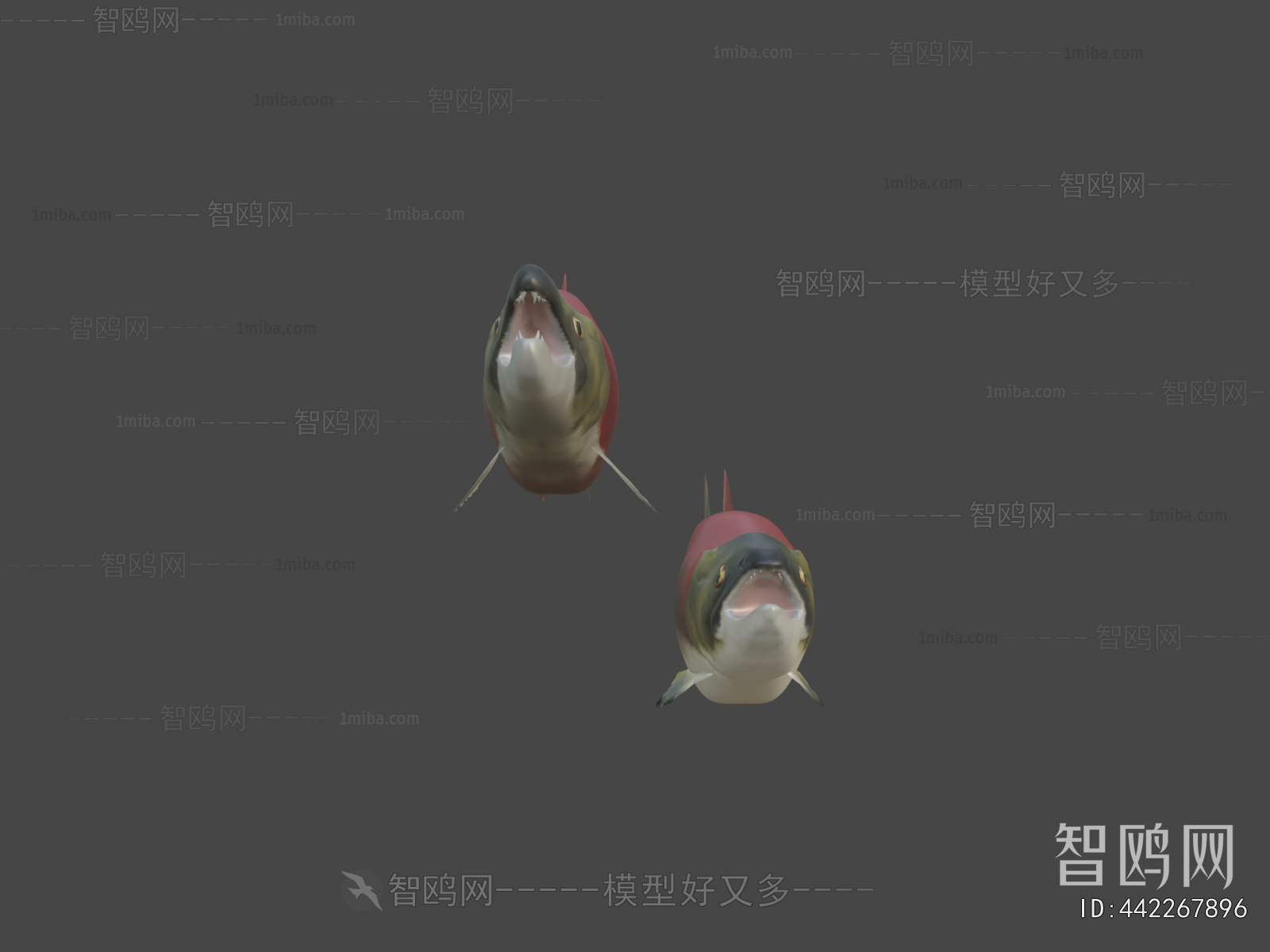 Modern Animal