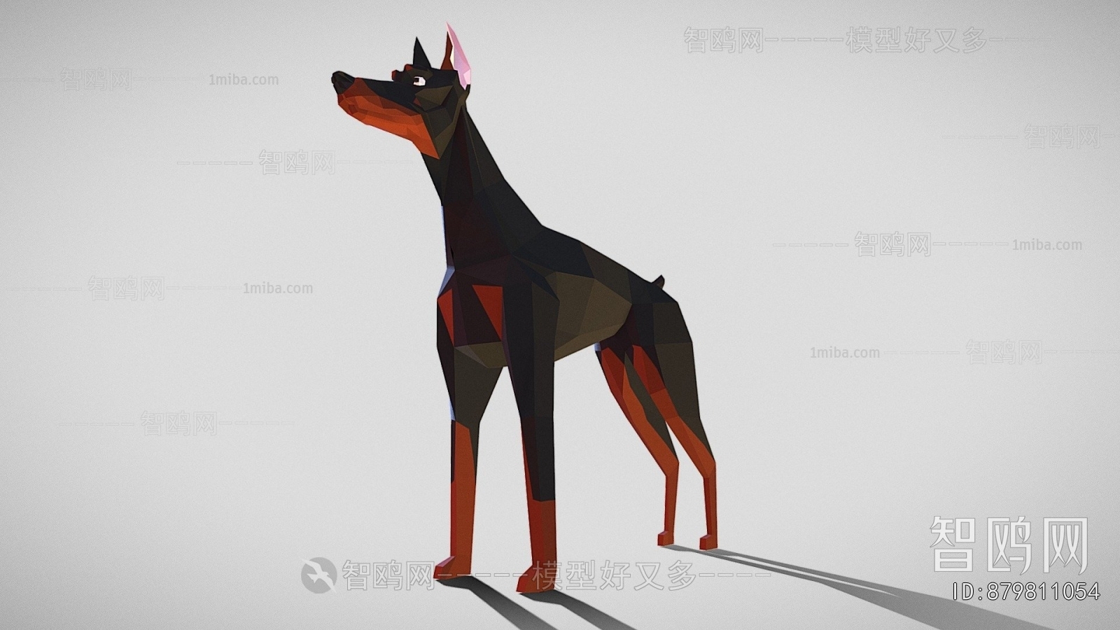 Modern Animal