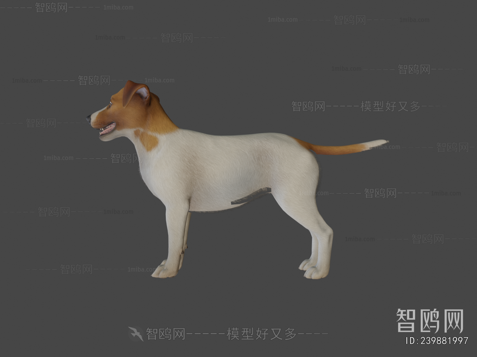 Modern Animal
