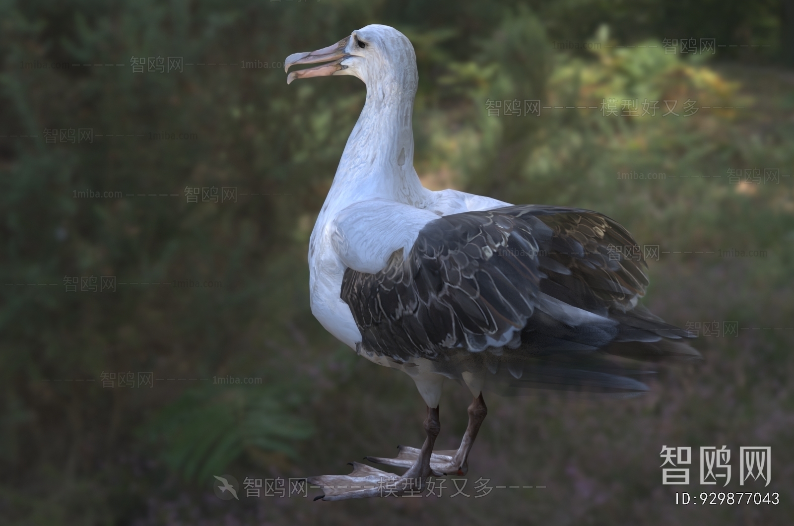 Modern Flying Animals