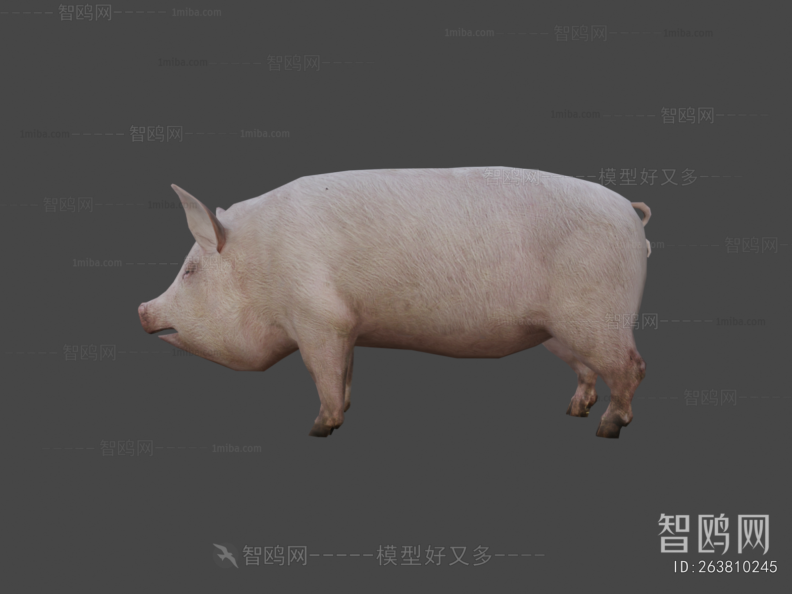 Modern Animal Pig