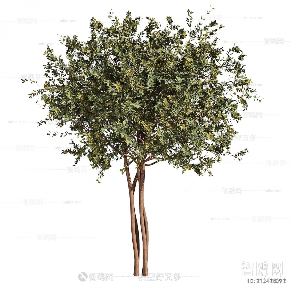 Modern Tree