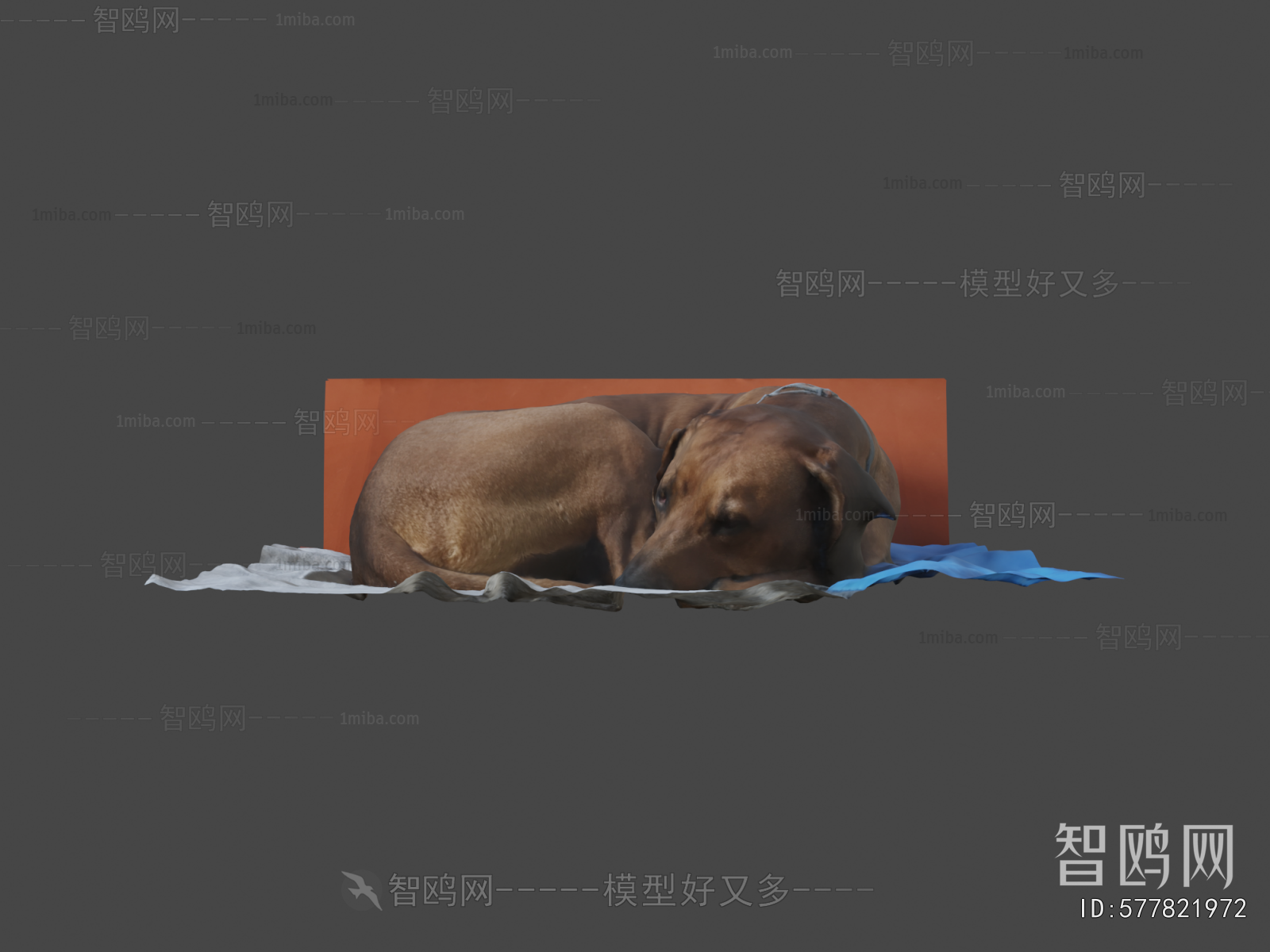 Modern Animal