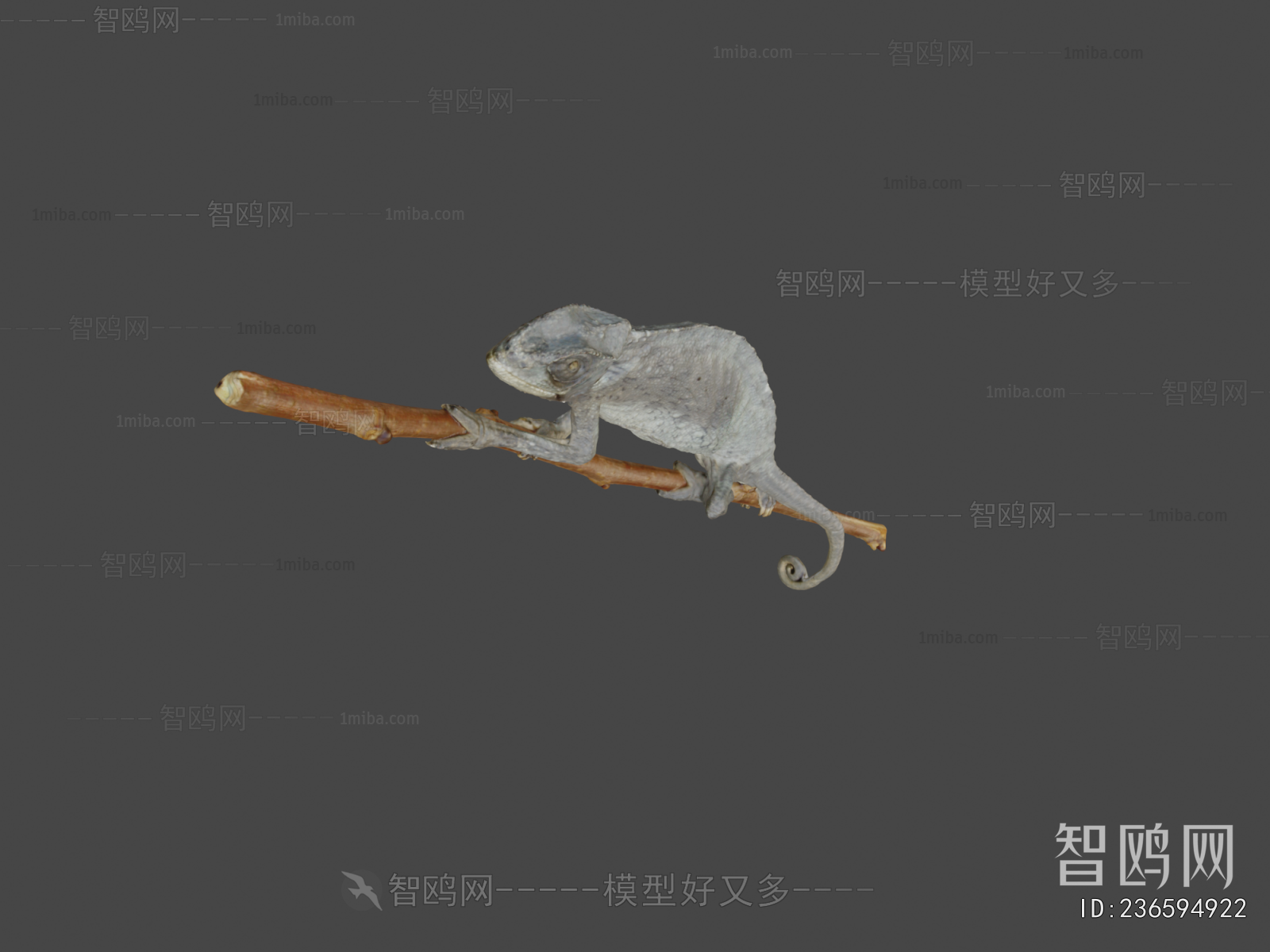 Modern Animal