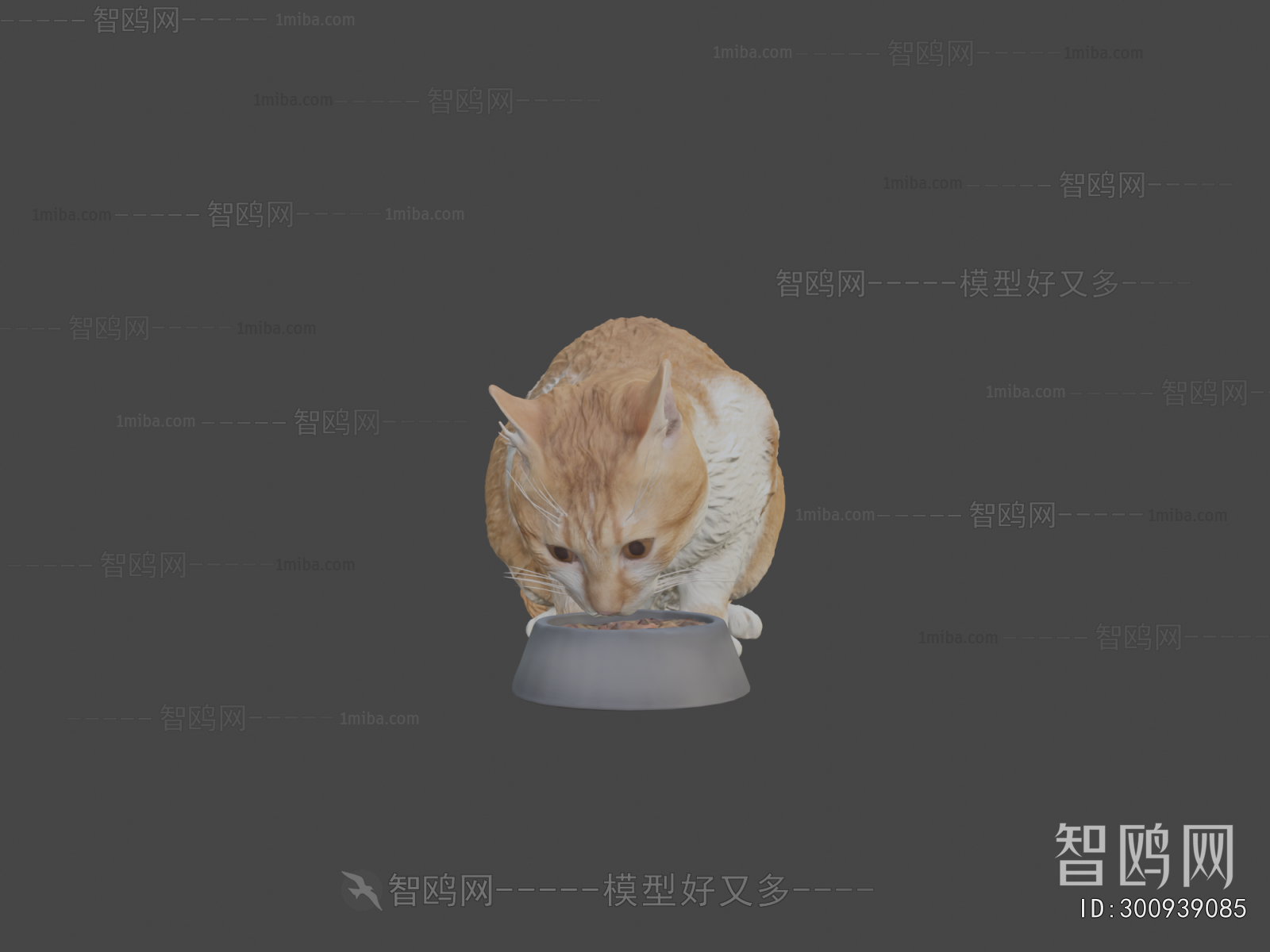 Modern Animal Cat