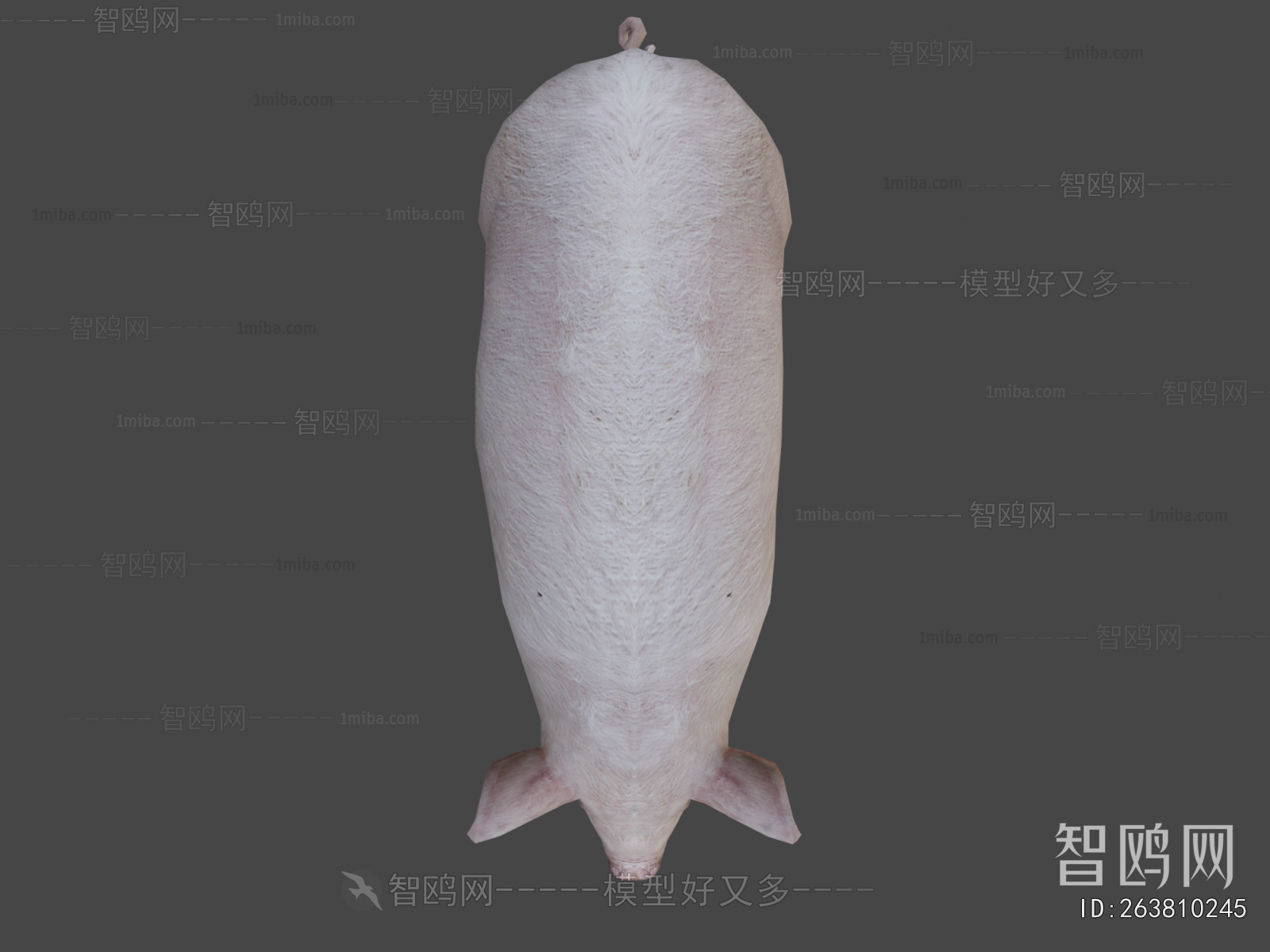 Modern Animal Pig