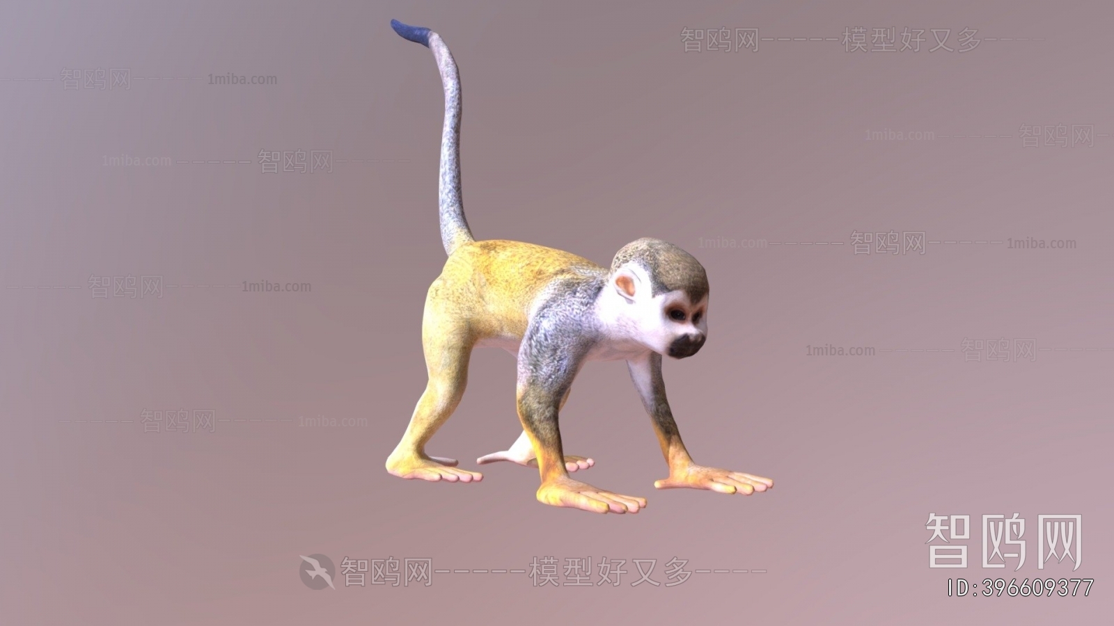 Modern Animal