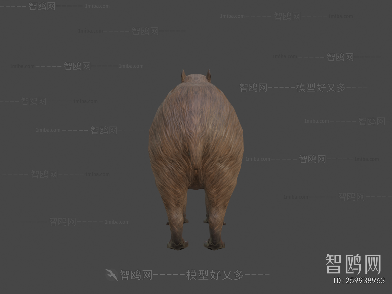 Modern Mammal