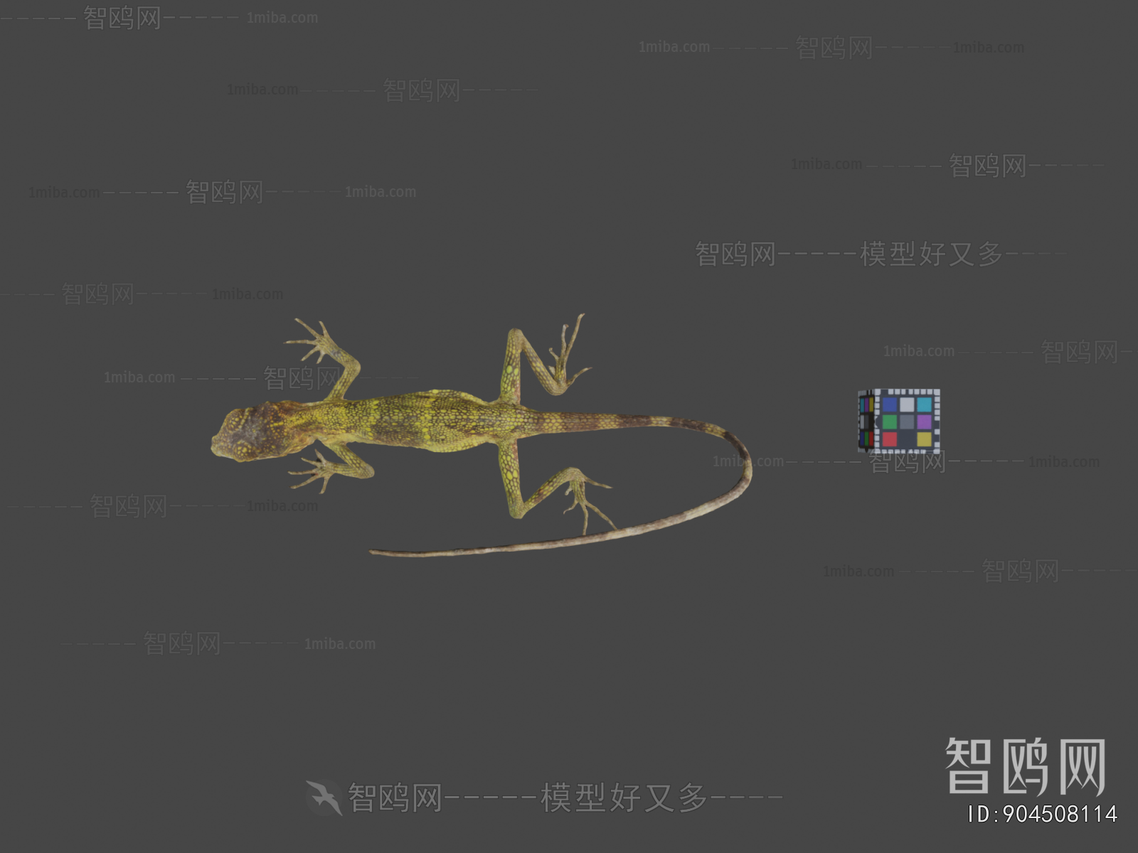 Modern Animal