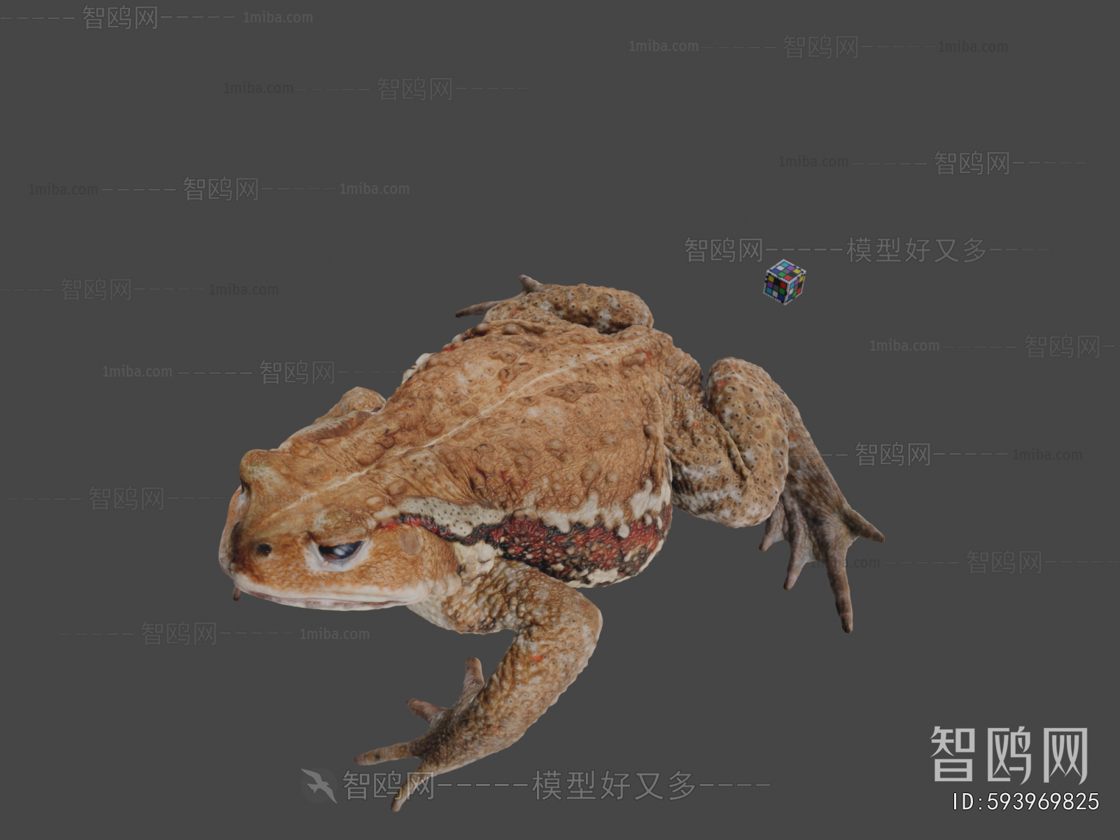 Modern Animal