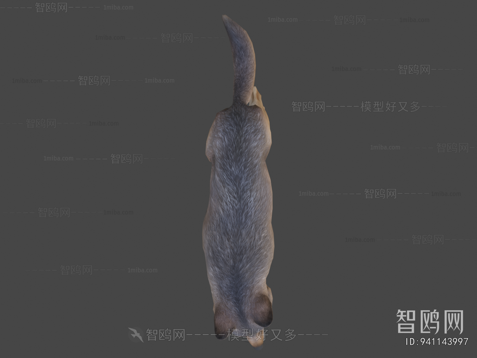 Modern Mammal