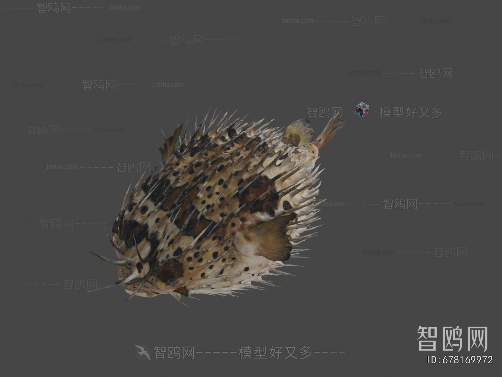 Modern Animal